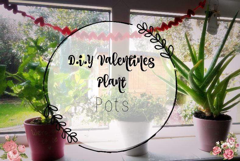Valentines; DIY plant pots