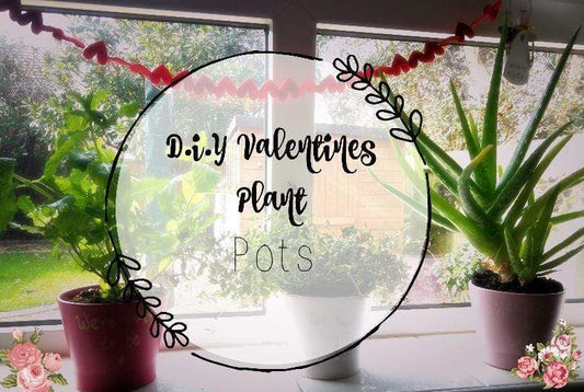 Valentines; DIY plant pots